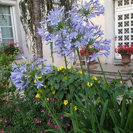 Montréal La Belle Vie B&B מראה חיצוני תמונה