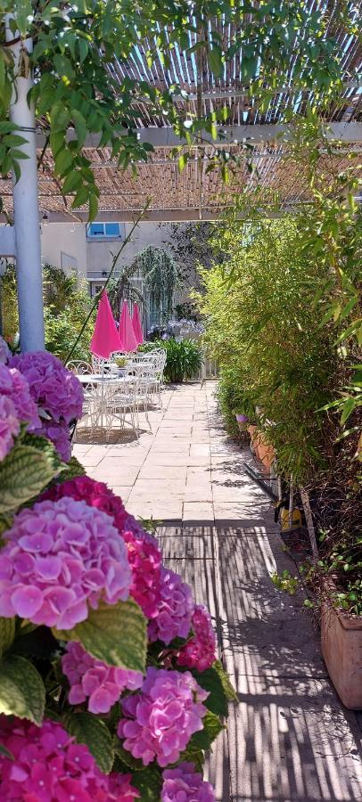 Montréal La Belle Vie B&B מראה חיצוני תמונה